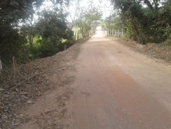 Roçada da estrada vicinal da Várzea da Cachoeira: