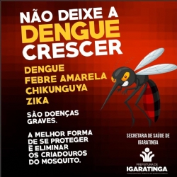 Todos contra ao mosquito Aedes aegypti 