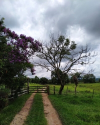 Bom dia! Descrição da Foto: Sítio Santa Teresa, Zona Rural, "Buracão", Sede do Município de Igaratinga. Crédito da Foto: Alexandre de Faria Silva.