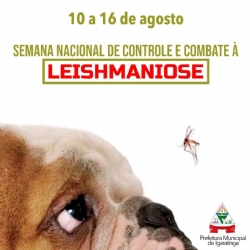 10 a 16 de agosto: Semana Nacional de Controle e Combate à Leishmaniose