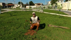 Codema realiza plantio de mudas de árvores