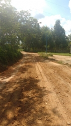 Recuperação de estradas rurais no “Buracão” e em Limas