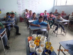 Alunos da Escola José Ferreira de Faria participam de aulas práticas