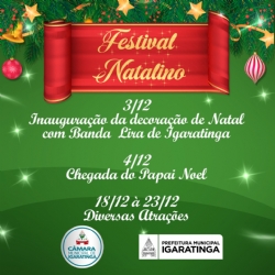 A Prefeitura Municipal, através de suas secretarias, e, em parceria com a Câmara Municipal, realizará o Festival Natalino em Igaratinga, na Praça Manoel de Assis.